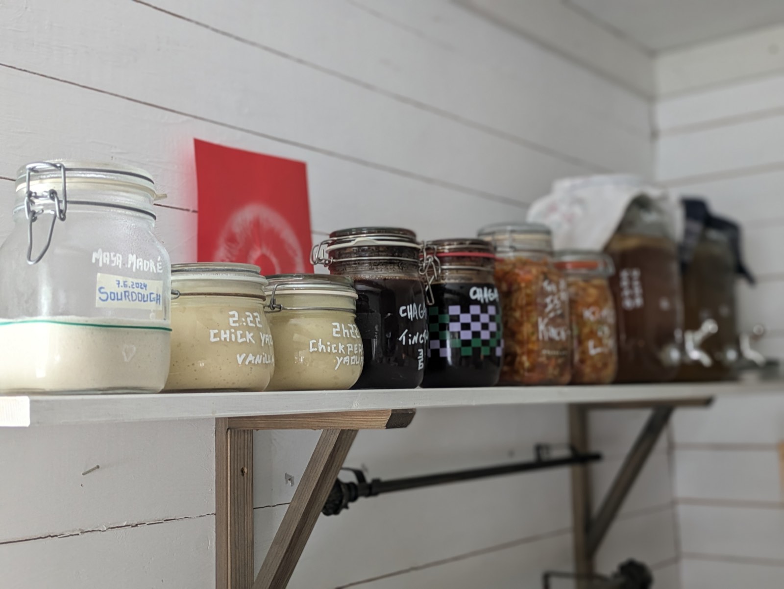 A shelf of fermentation jars: sourdough starter, chickpea yogurt, chaga tincture, kimchi, and kombucha