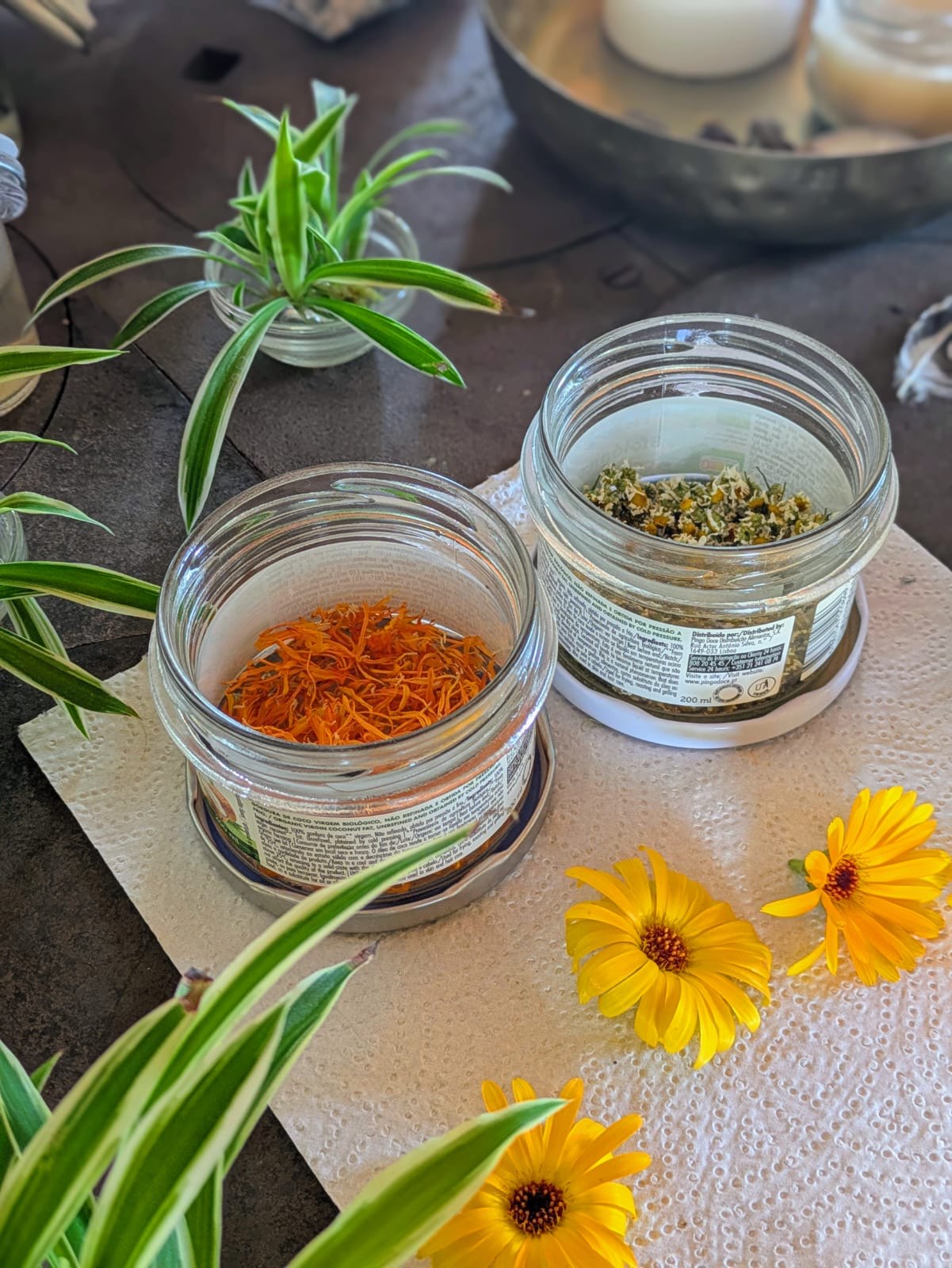 Jars of seeds and cut sunflowers on a garden table
