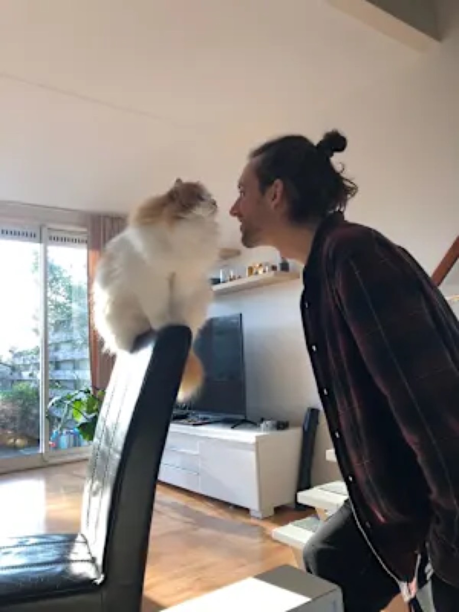 Chris nose-to-nose with a fluffy cat